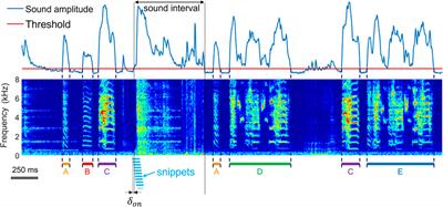 Interactive extraction of diverse vocal units from a planar embedding without the need for prior sound segmentation